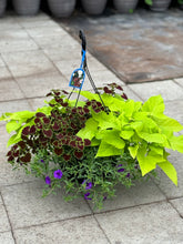 Load image into Gallery viewer, 12&quot; Premium Hanging Flower Basket (2024) - Preorder
